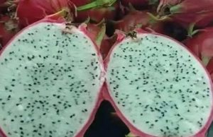 Doctor Reveals Eating Dragon Fruit Causes…