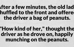 An older couple took a bus trip for their anniversary.