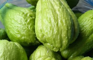 Doctors reveal that eating chayote causes …